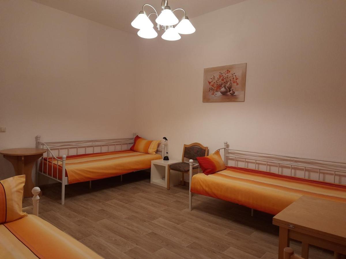Aa-Apartment -7 Wohnungen Fuer Geschaeftsreisende - Wie Zu Hause ケムニッツ エクステリア 写真